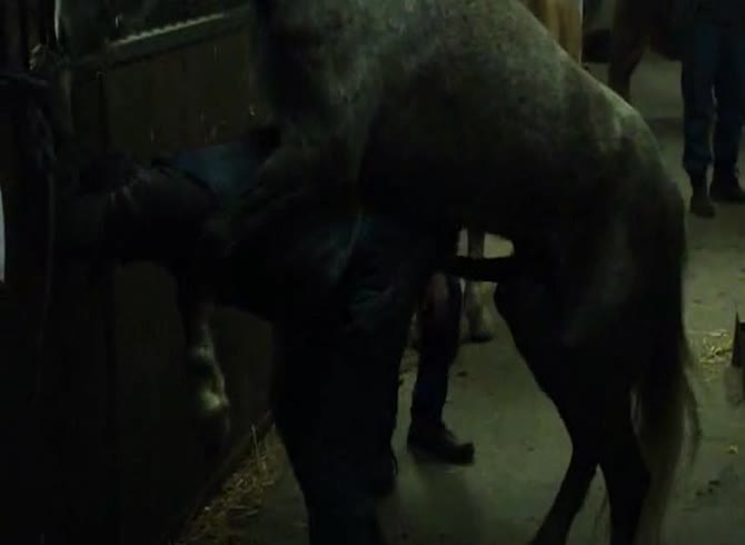 Video :Horse dick wrecking woman's pussy from behind